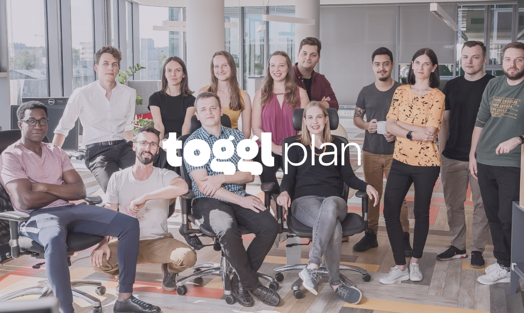 Toggl plan team