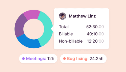 Various data elements such as a pie chart with billable information and total amount of time spent on tasks such as 'Meetings' and 'Bug fixes'