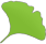 Gingko app logo